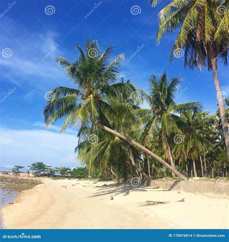 Maenam Beach Koh Samui Thailand Stock Photo Image Of Island Maenam