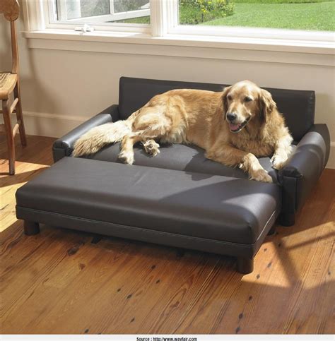 Leather Dog Couch