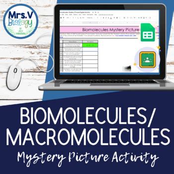 Biomolecules Macromolecules Mystery Picture Digital Activity By Mrs V