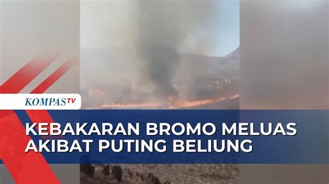 Api Sempat Terkendali Kebakaran Bukit Teletubbies Bromo Kembali Meluas