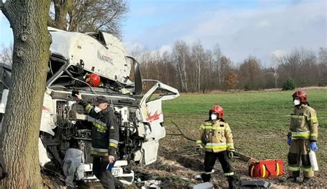 Śmiertelny wypadek na Aleksandrowskiej w Zgierzu Tir uderzył w drzewo