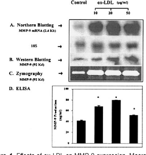 Figure 1 From Oxidized Low Density Lipoprotein Regulates Matrix