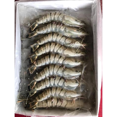 Tiger Prawn Udang Harimau XL M S Kl Selangor And Putrajaya Only