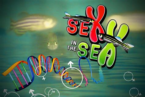 Sex In The Sea Qu Define El Sexo De Los Peces The Science In Your