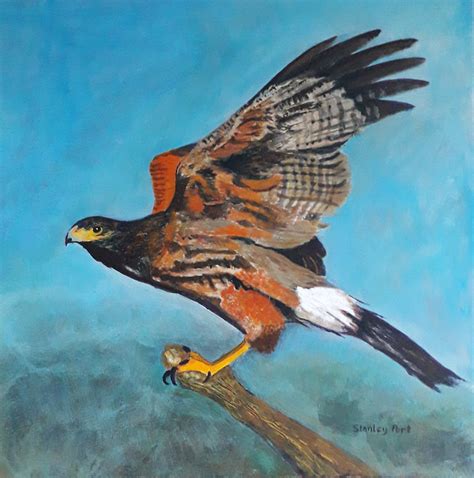 Hawk Painting