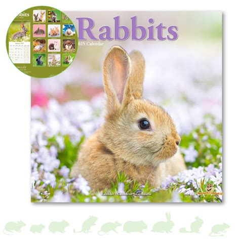 2025 Year Of The Rabbit Calendar Sybil Euphemia