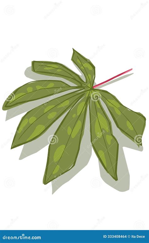 Green Cassava Leaves Decorated With Water Splashes Vector Illustration