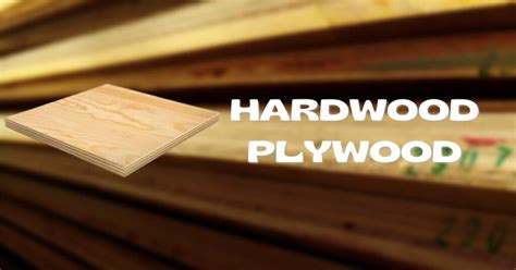 Hardwood Plywood Everything You Need To Know Timber Blogger