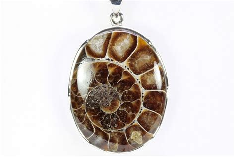 1 7 Fossil Ammonite Pendant 110 Million Years Old 240279 For Sale