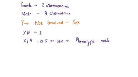 SOLVED What Is The Sexual Phenotype Of Fruit Flies Having The Following Chromosomes Sex