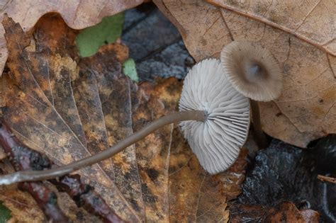 Greylings from Кирово-Чепецкий р-н, Кировская обл., Россия on October ...