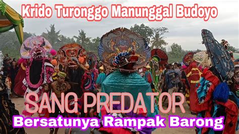 Rampak Barong Sang Predator Bersatunya Rampak Barong Jaranan Krido