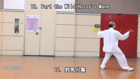 42 Form Tai Chi Back View 20130901 Youtube