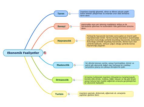 Ekonomik Faaliyetler Mind Map