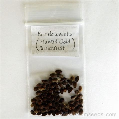 Hawaii Gold Passsionfruit Passiflora Edulis Seeds Fair Dinkum Seeds