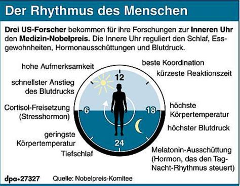 Chronobiologie Wie Der Mensch Tickt