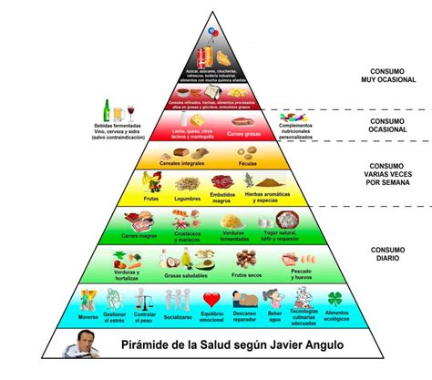 La Pir Mide De La Salud Seg N Javier Angulo Instituto Nutrigen Mica