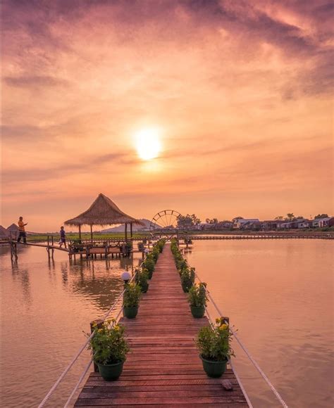 A Beautiful Sunset At A Lotus Farm In Phnom Krom Siem Reap Cambodia