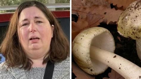 Leongatha Mushroom Poisoning Lifting The Veil On Erin Patterson The