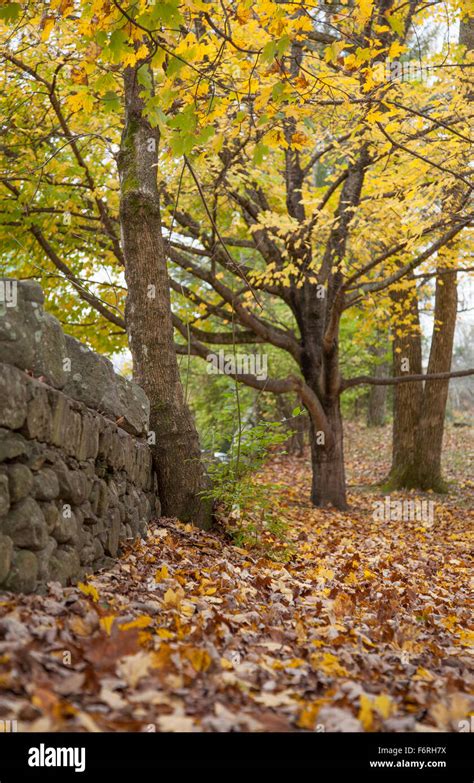 Fall colors in Lookout Mountain Georgia Stock Photo - Alamy