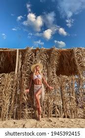 Sexy Woman Wearing Bikini Standing Lounger Stock Photo Shutterstock