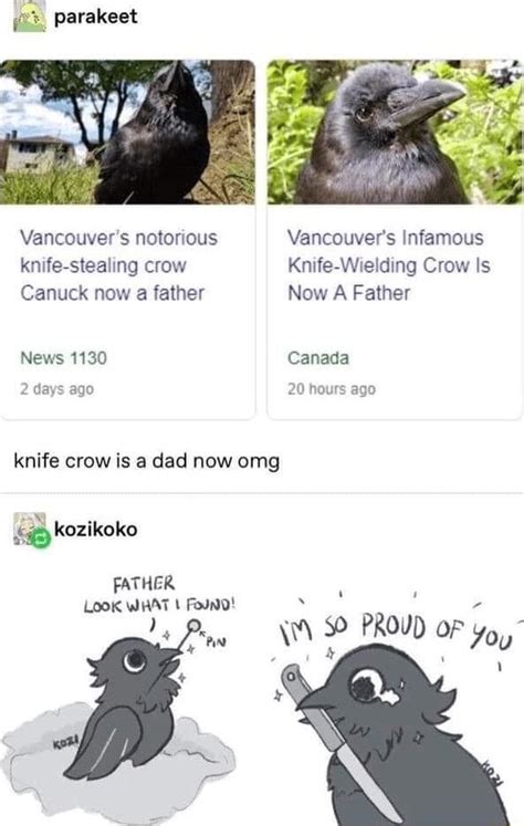 Parakeet Vancouvers Notorious Vancouvers Infamous Knife Stealing Crow