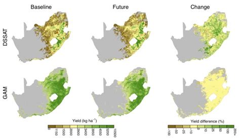 How will crops fare under climate change? Depends on how you ask ...