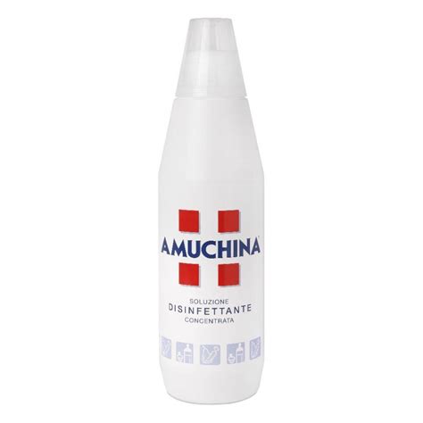 Amuchina 100 1000ml Soluzione Disinfettante Pura Per Cute Integra