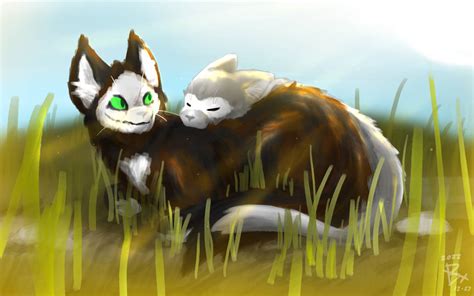 Warm Summer Nap Dsmp X Warrior Cats Au By Artypawsstudio On Deviantart