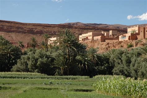 Oasis on the Desert, Morocco Stock Image - Image of orange, horizontal ...