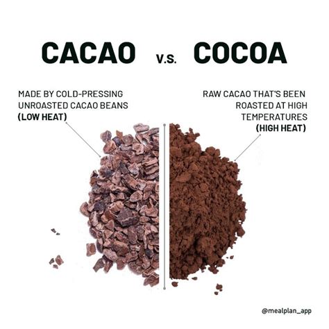 Cacao Powder Vs Cocoa Powder