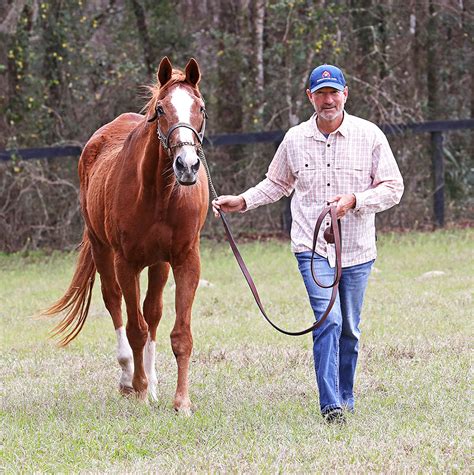 Secretariat & Ocala - Ocala Style Magazine