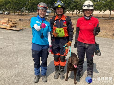 搜救犬國際認證大會考 新北4犬高分取得中高級檢定 蕃新聞