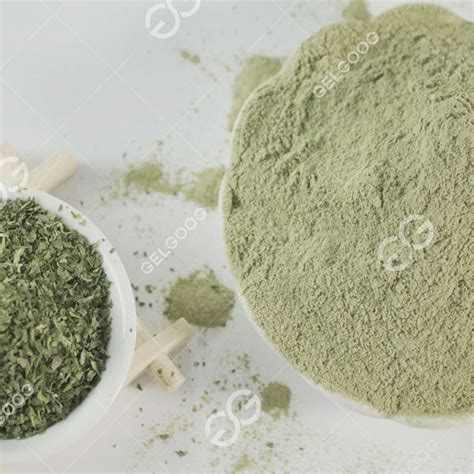 How To Dry Moringa Leaves And Make Powder