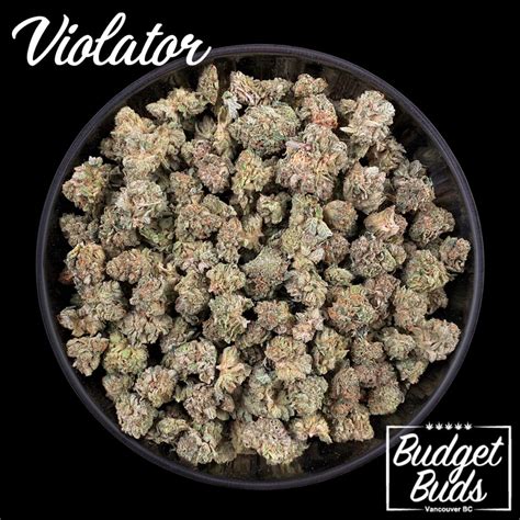 Violator Indica Oz Budget Buds