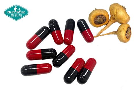 Popular Formula Epimedium Horny Goat Weed Maca Root Herbs Extract Energy Supplement Capsule