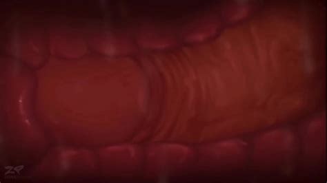 Renamon Search Xvideos