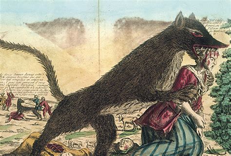 The Mystery Beast Of Gévaudan Terrorized 18th Century France Beast