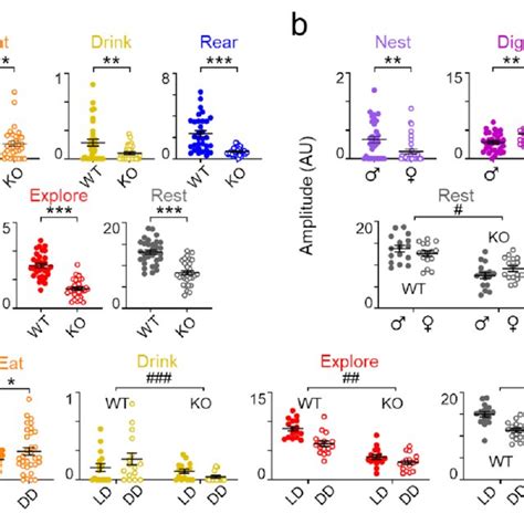 Behavioral Rhythm Amplitudes Differ By Genotype Sex And Light Cycle