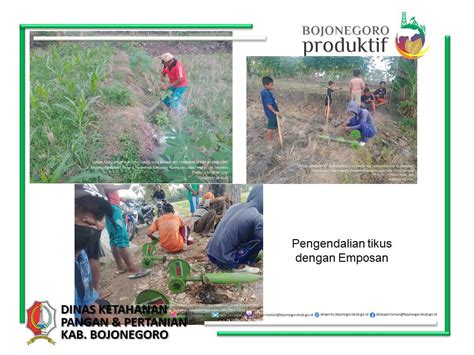 Dinas Ketahanan Pangan Dan Pertanian Kabupaten Bojonegoro