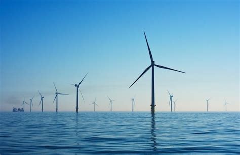 Bluefloat Consortium To Build Mw Wind Project Offshore New Zealand