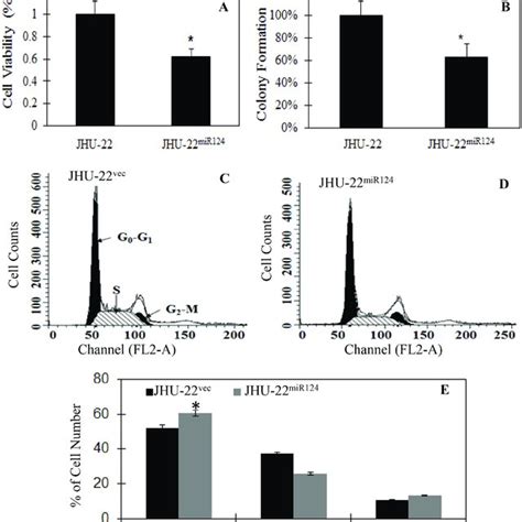 The Effects Of Restored Mir Expression On Tumor Xenograft Growth