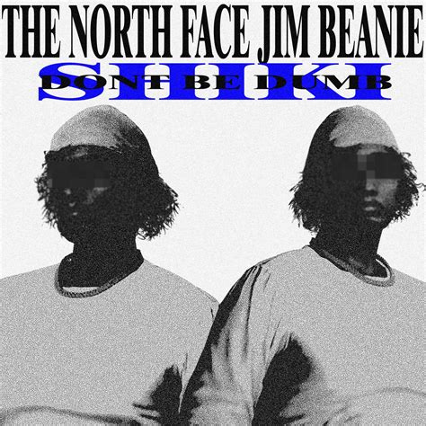 beanie the north face 14