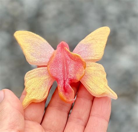 Yoni Butterfly Epoxy Art Vagina Butterfly Decor Yoni Lover Etsy