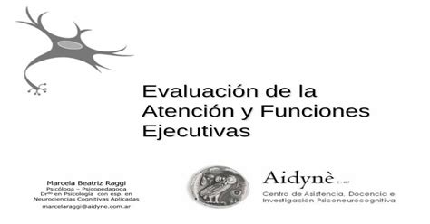 Evaluaci N De La Atenci N Y Funciones Ejecutivas Evaluaci Efecto