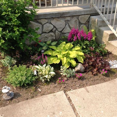 Fern Astilbe Coral Bells Three Varieties Of Hosta Two Varieties Of Sedum Wishbone Plant