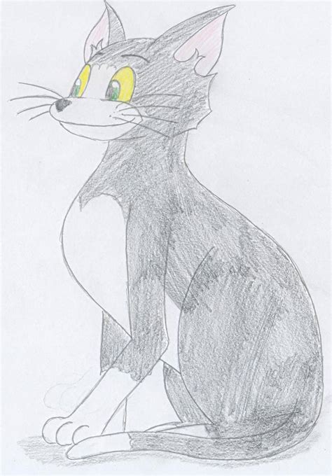 Tom and Jerry: Tom cat by RomystiqueArts on DeviantArt