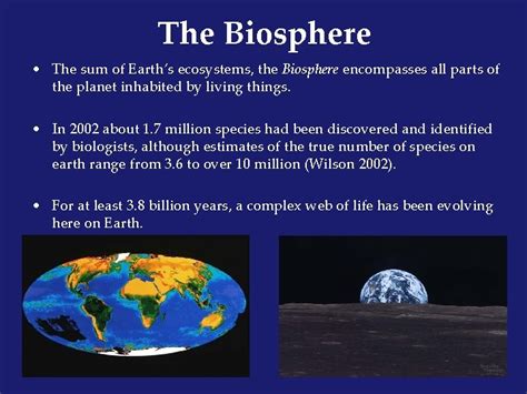 biodiversity life  earth    losing