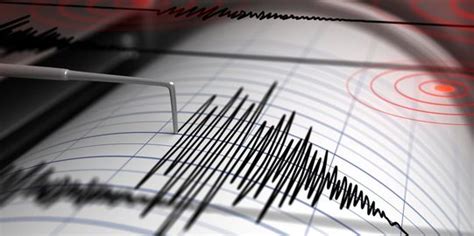 Mentawai Diguncang Gempa Tiga Kali Terbaru Bermagnitudo 6 4 Merdeka