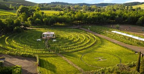 Beste K Se Und Charcuterie Verkostung Tenuta Torciano San Gimignano